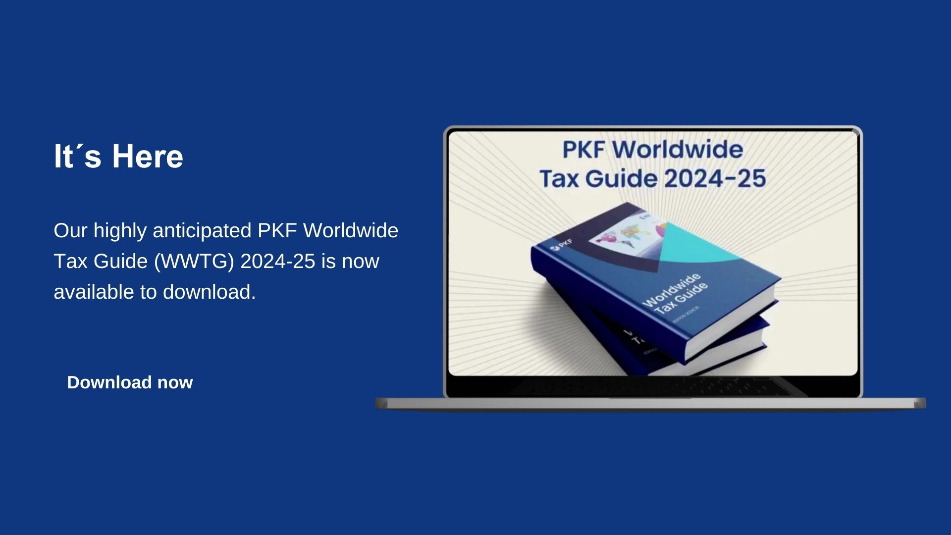 PKF International Worldwide Tax Guides 2024/2025